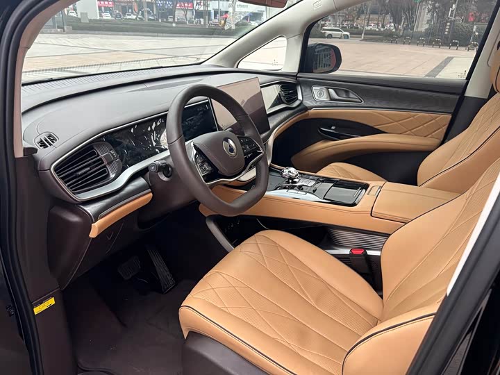 Фото 9 - Denza D9