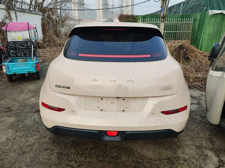 Фото 6 - Ora Good Cat (03)