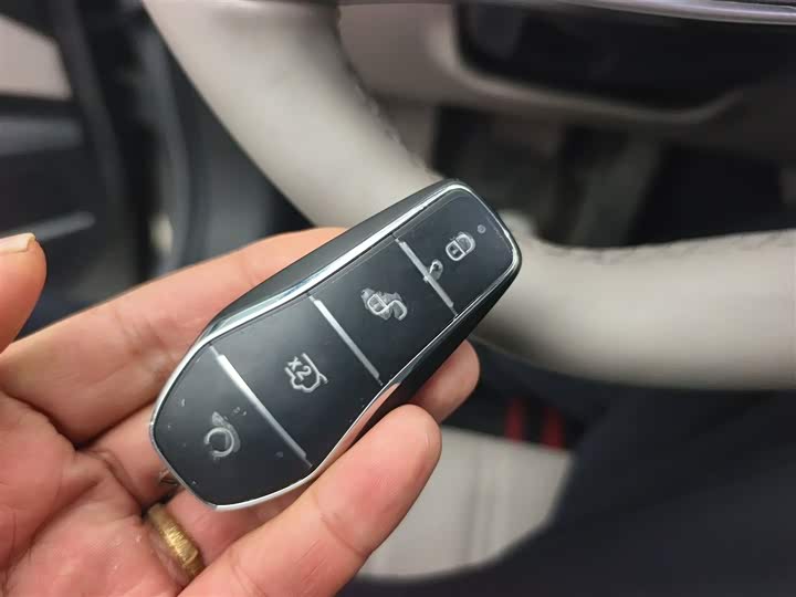 Фото 9 - BYD Tang Hybrid/EV