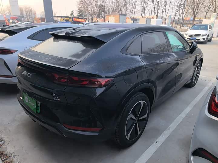 Фото 7 - BYD Song L