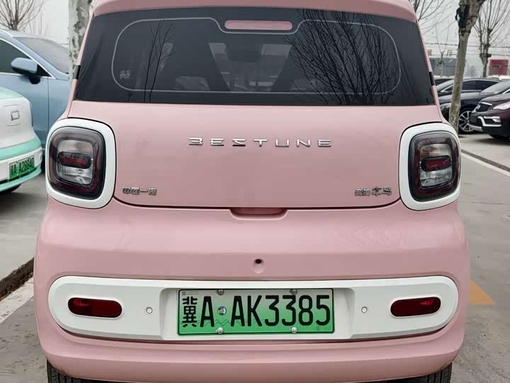 Фото 8 - Bestune Pony