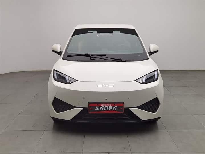 Фото 3 - BYD Seagull