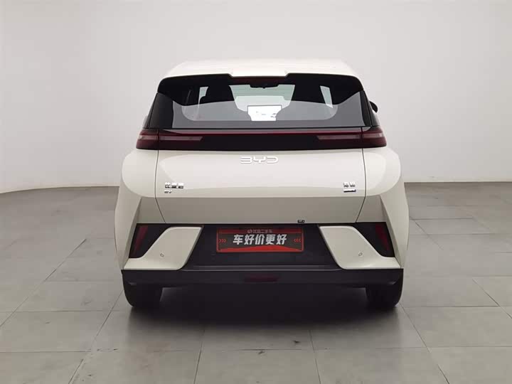 Фото 4 - BYD Seagull