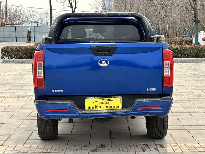 Фото 4 - Great Wall Pao