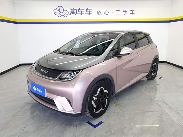 Фото 1 - BYD Dolphin