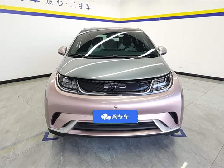 Фото 2 - BYD Dolphin