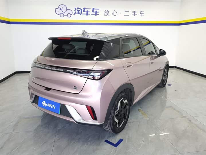 Фото 3 - BYD Dolphin