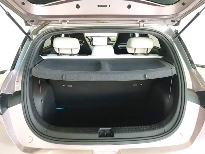 Фото 4 - BYD Dolphin