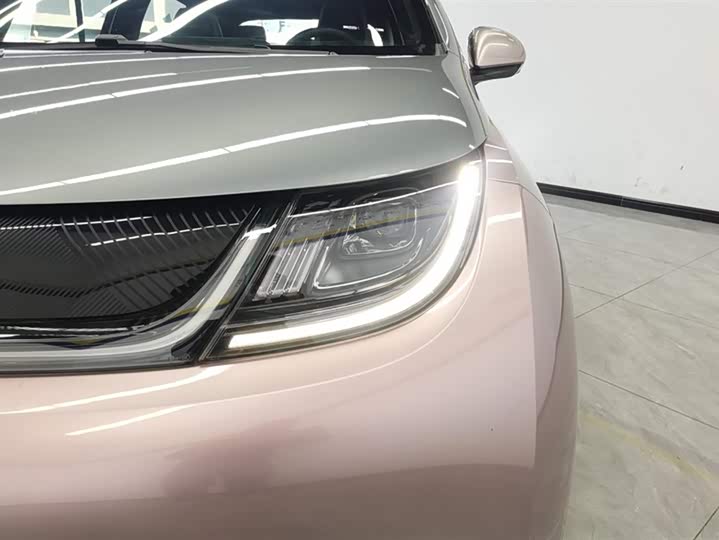 Фото 5 - BYD Dolphin