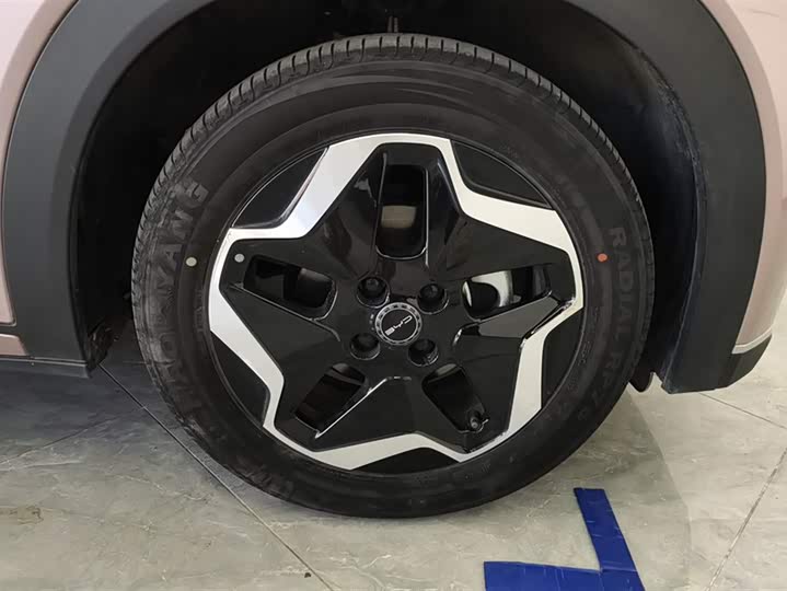 Фото 6 - BYD Dolphin