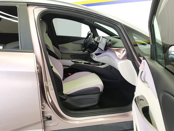 Фото 8 - BYD Dolphin