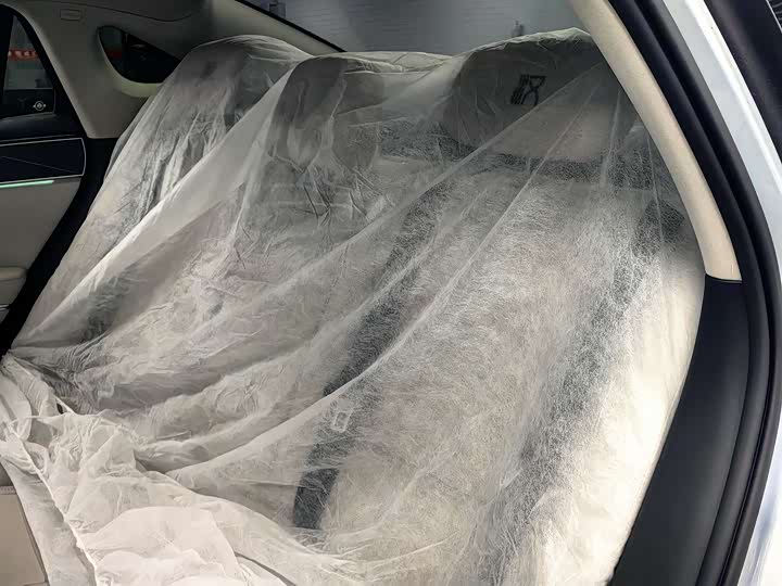 Фото 9 - BYD Han L