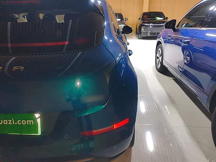 Фото 8 - Ora Good Cat (03)