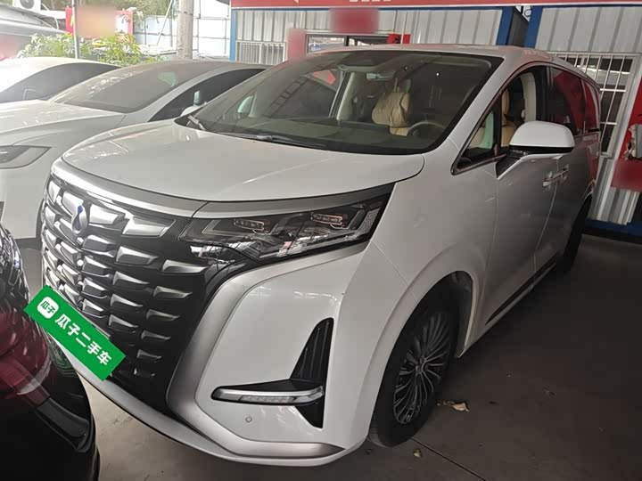 Фото 2 - Denza D9