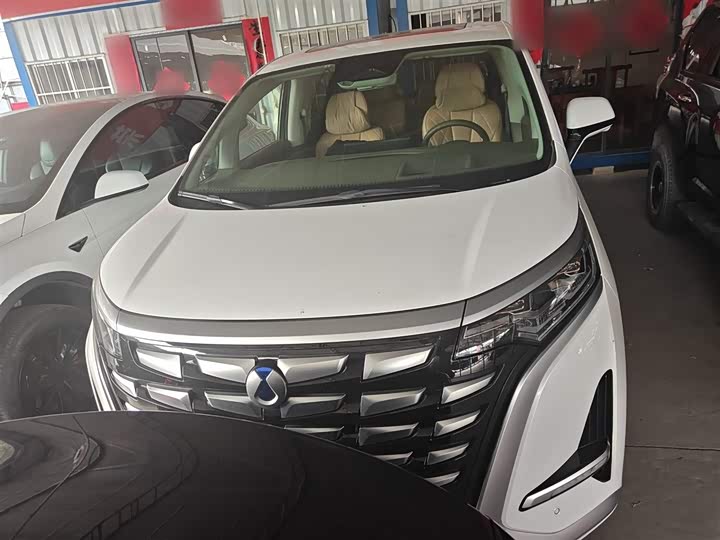 Фото 3 - Denza D9