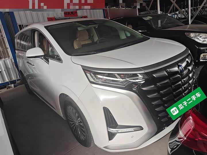 Фото 4 - Denza D9