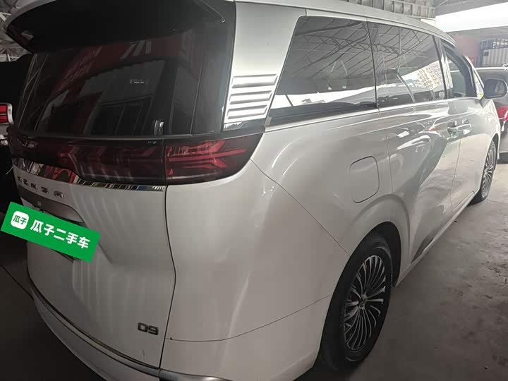 Фото 7 - Denza D9