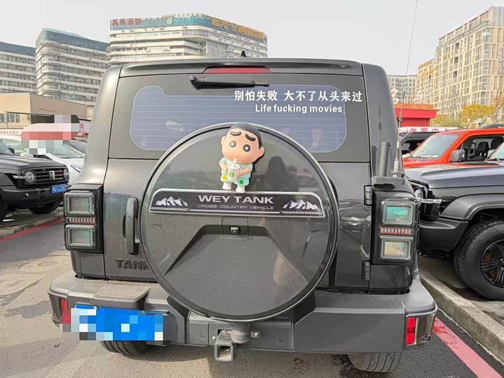 Фото 4 - Tank 300