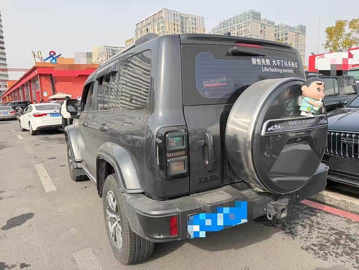 Фото 5 - Tank 300