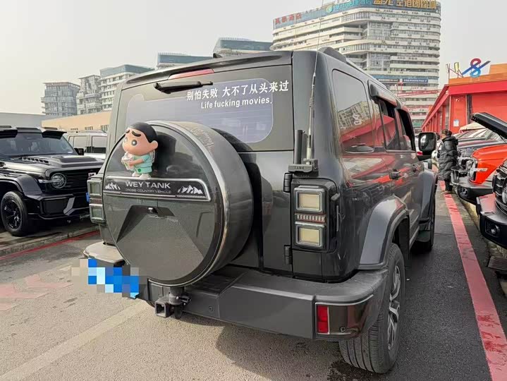 Фото 6 - Tank 300