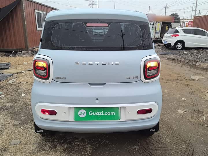 Фото 6 - Bestune Pony