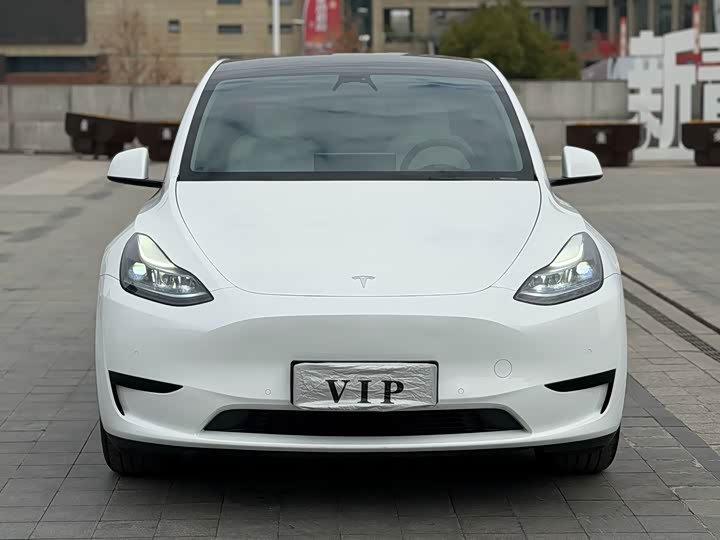 Фото 2 - Tesla Model Y