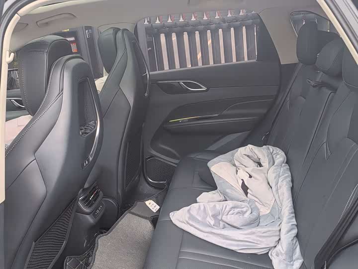 Фото 9 - Hongqi HS3