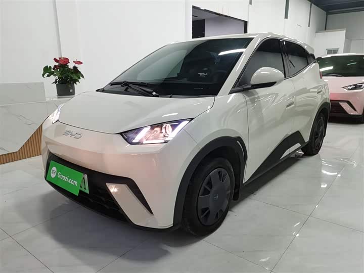 Фото 1 - BYD Seagull