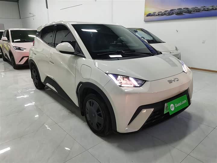 Фото 4 - BYD Seagull