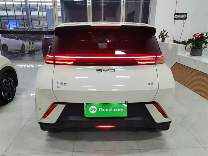 Фото 6 - BYD Seagull