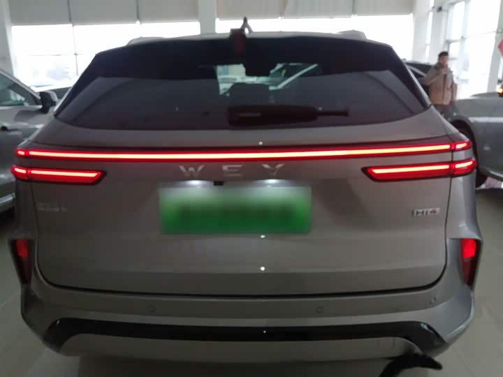 Фото 6 - Wey Mocca Hybrid