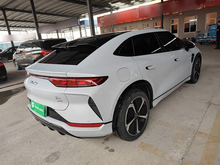 Фото 7 - BYD Song L