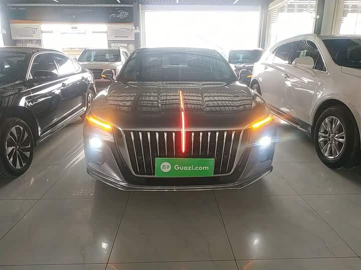 Фото 3 - Hongqi H5