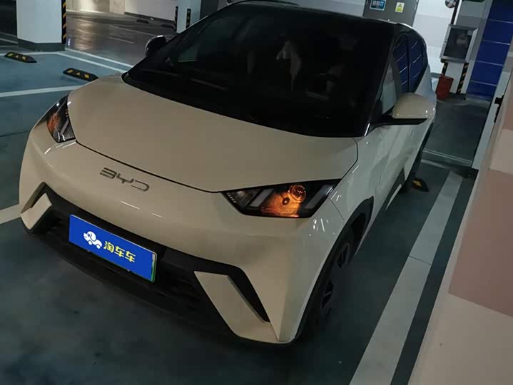 Фото 1 - BYD Seagull