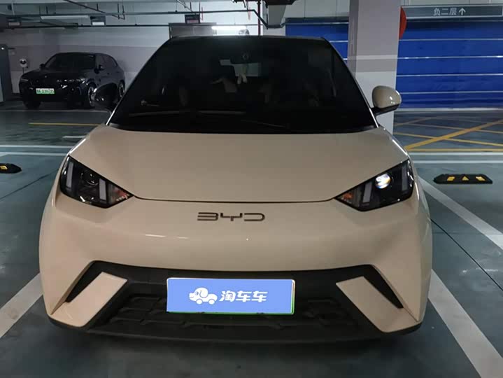 Фото 2 - BYD Seagull