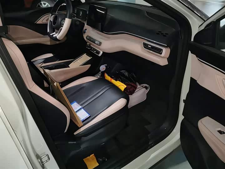 Фото 8 - BYD Seagull