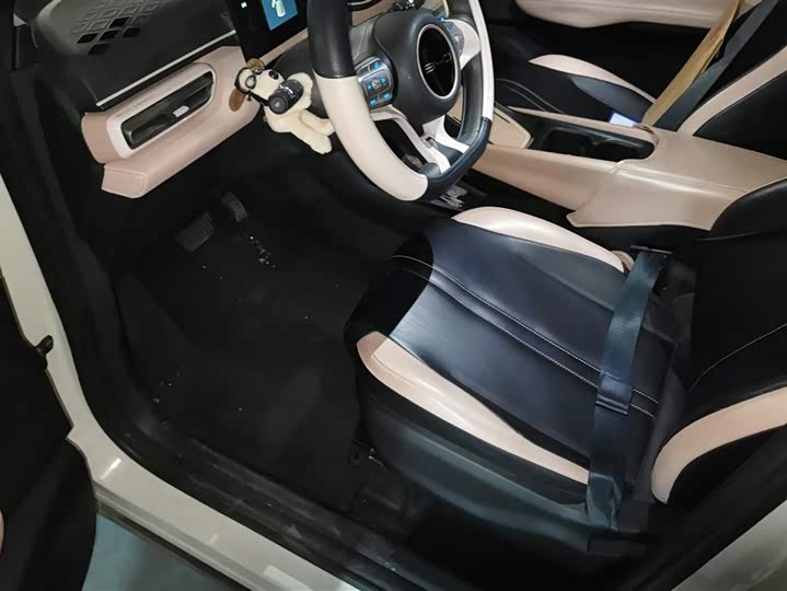 Фото 9 - BYD Seagull