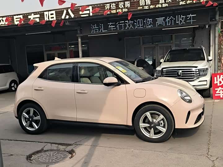 Фото 3 - Ora Good Cat (03)