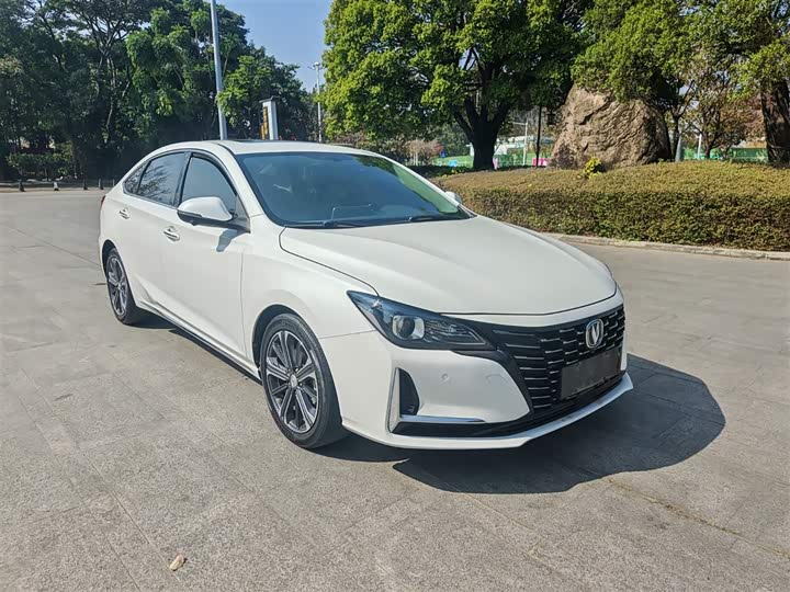 Фото 2 - Changan Raeton CC