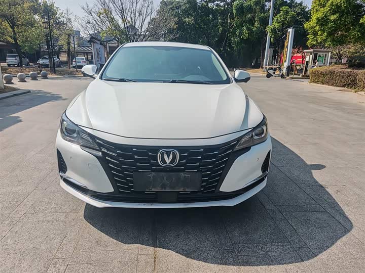 Фото 3 - Changan Raeton CC