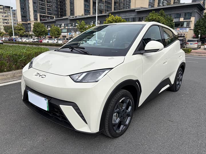 Фото 1 - BYD Seagull