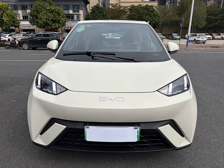 Фото 2 - BYD Seagull