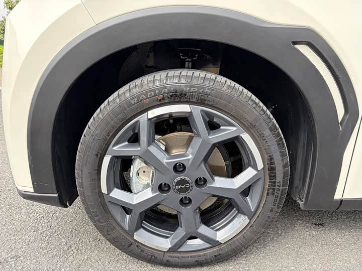 Фото 3 - BYD Seagull