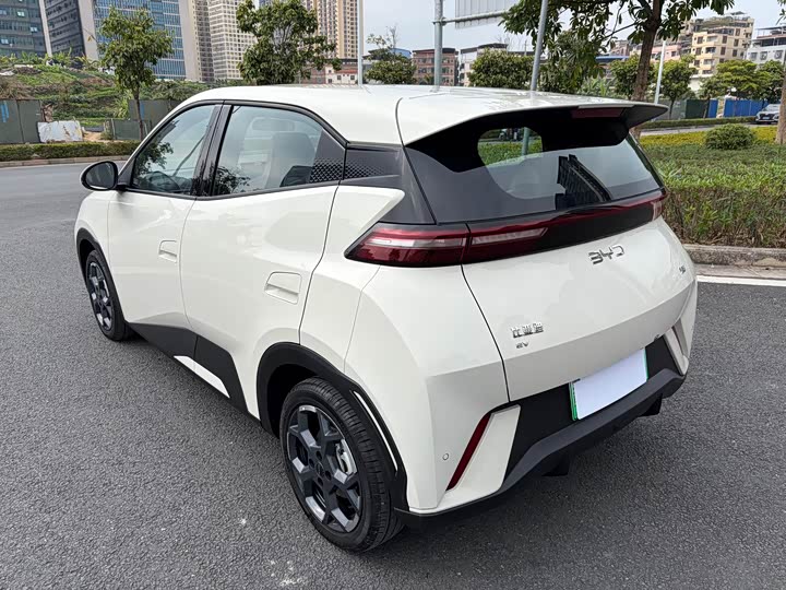 Фото 5 - BYD Seagull