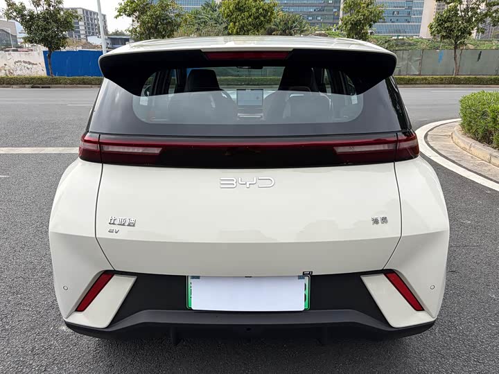 Фото 6 - BYD Seagull