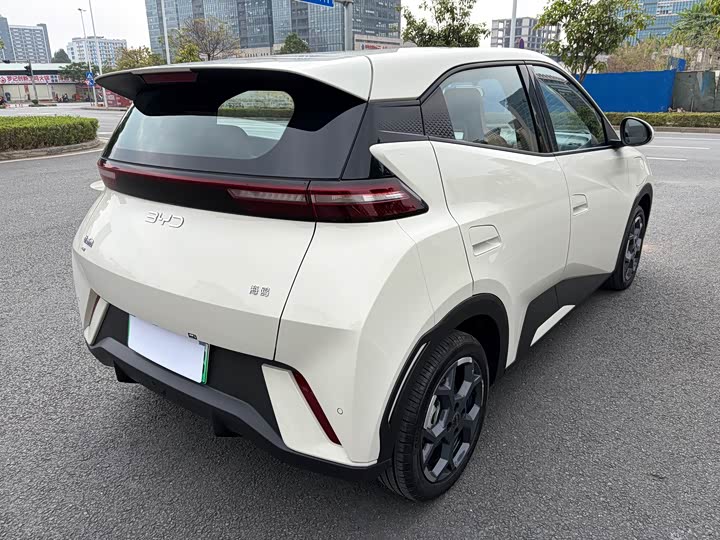 Фото 7 - BYD Seagull