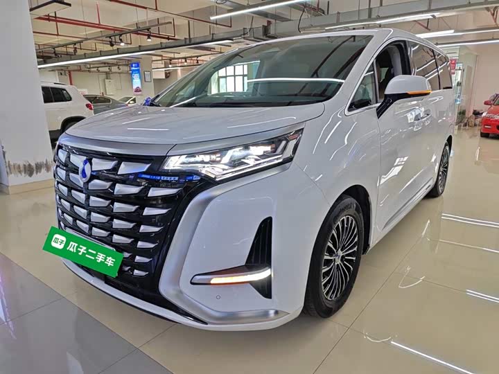 Фото 1 - Denza D9