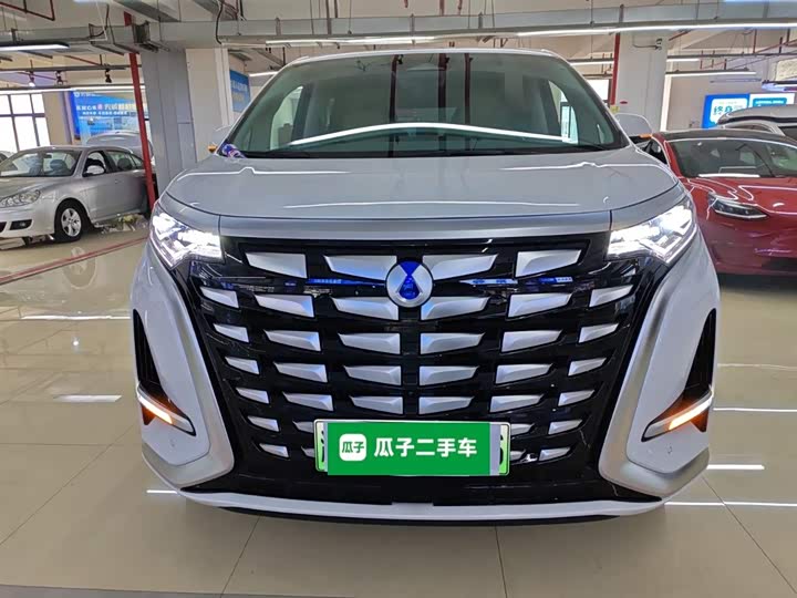 Фото 3 - Denza D9