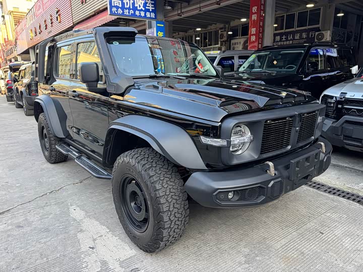 Фото 2 - Tank 300