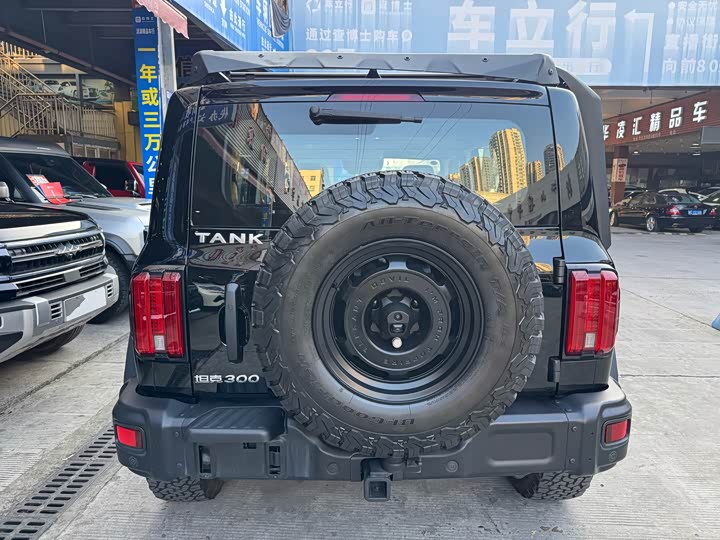 Фото 5 - Tank 300